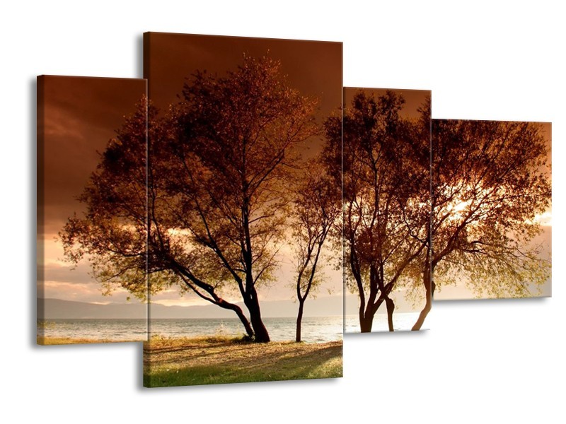 Canvas schilderij Bomen | Bruin, Wit, Zwart | 120x75cm 4Luik