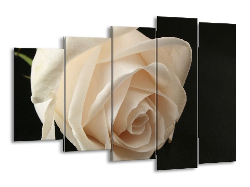 Canvas schilderij Roos | Wit, Zwart, Groen | 150x100cm 5Luik