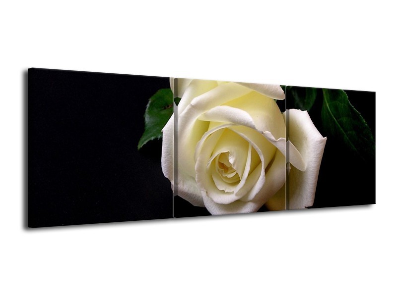 Glas schilderij Roos | Wit, Zwart, Groen | 120x40cm 3Luik