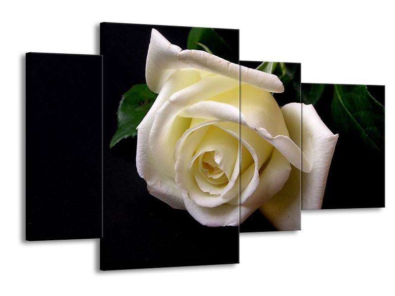 Canvas schilderij Roos | Wit, Zwart, Groen | 120x75cm 4Luik