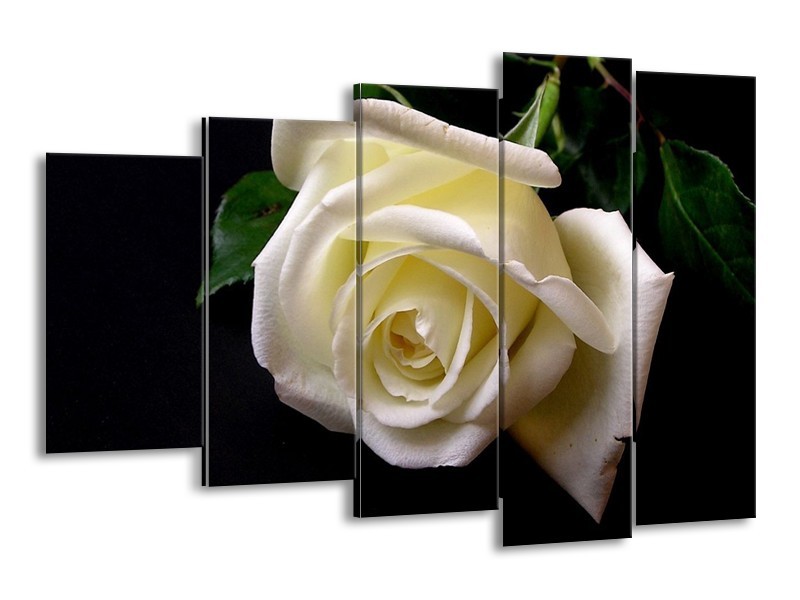 Canvas schilderij Roos | Wit, Zwart, Groen | 150x100cm 5Luik