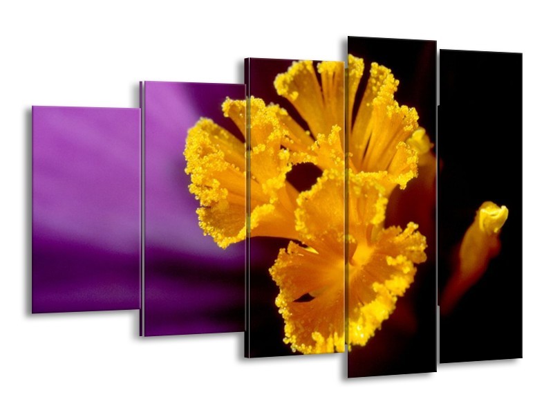 Canvas schilderij Bloem | Paars, Geel, Zwart | 150x100cm 5Luik