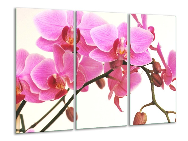Canvas schilderij Orchidee | Rood, Wit, Zwart | 120x80cm 3Luik