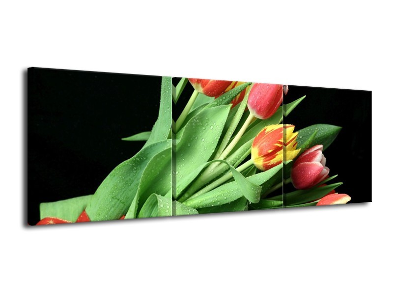 Canvas schilderij Tulpen | Rood, Geel, Groen | 120x40cm 3Luik
