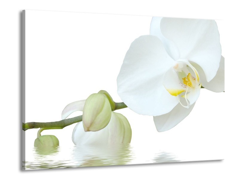 Canvas schilderij Orchidee | Wit, Groen, Geel | 100x70cm 1Luik