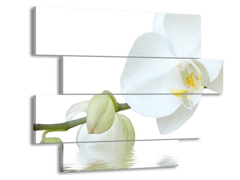 Canvas schilderij Orchidee | Wit, Groen, Geel | 115x85cm 4Luik