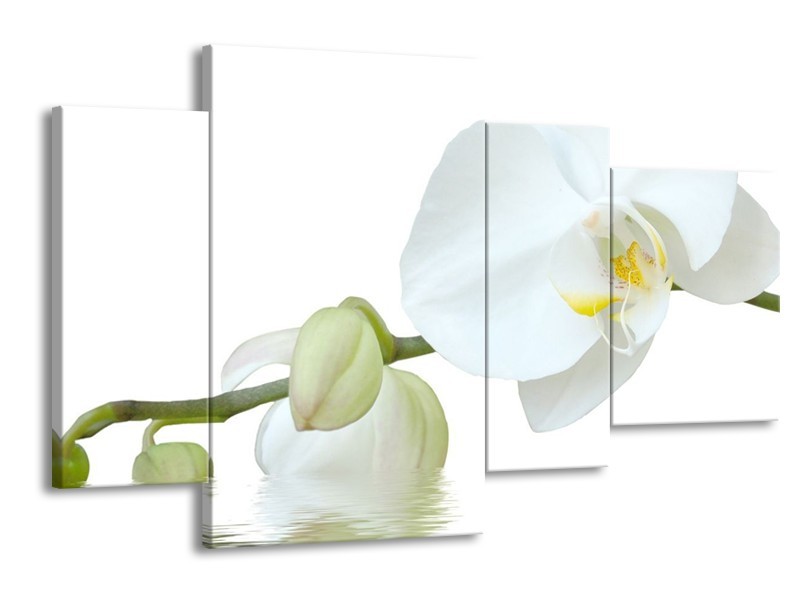 Canvas schilderij Orchidee | Wit, Groen, Geel | 120x75cm 4Luik