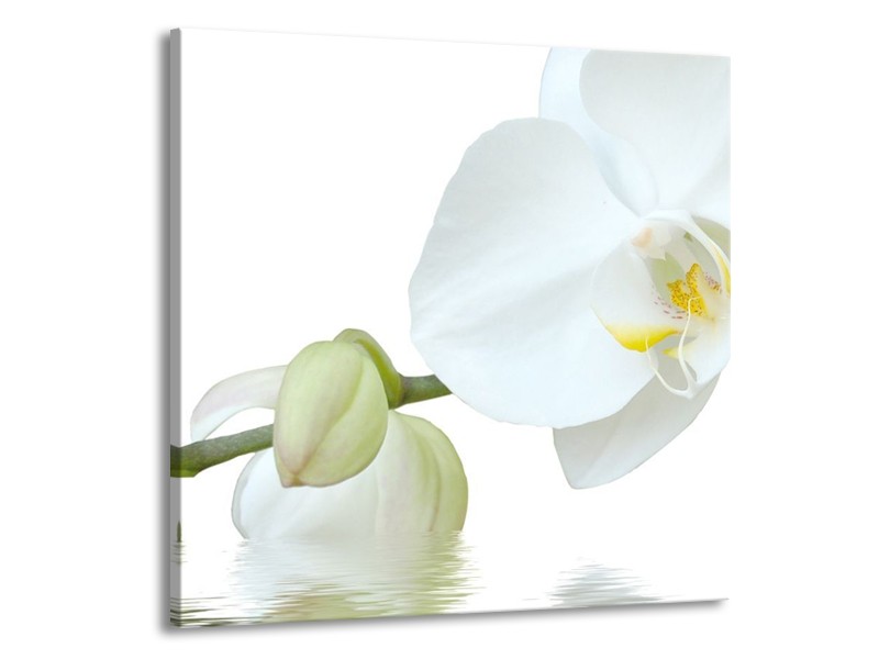 Canvas schilderij Orchidee | Wit, Groen, Geel | 70x70cm 1Luik