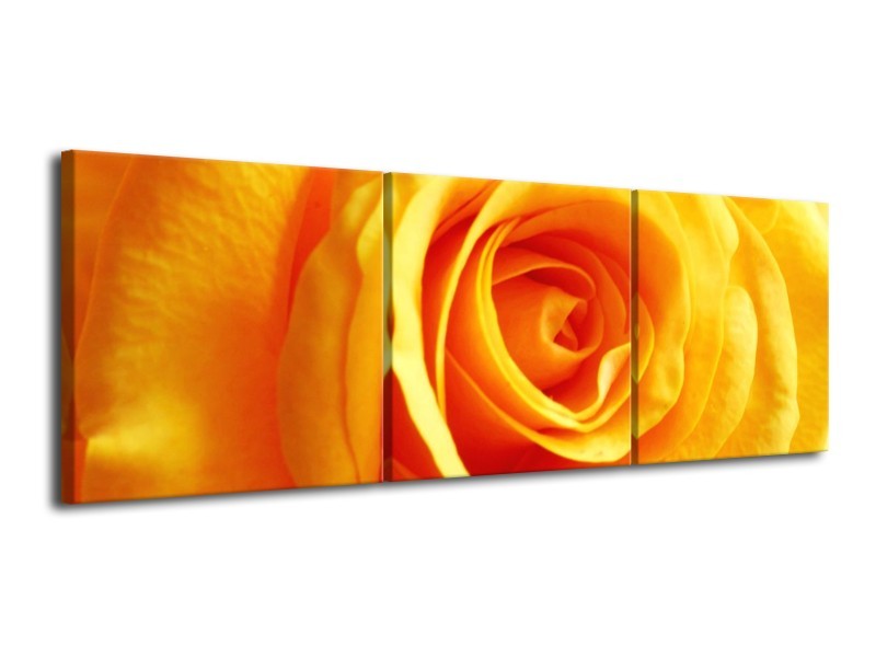 Canvas schilderij Roos | Geel, Oranje | 120x40cm 3Luik