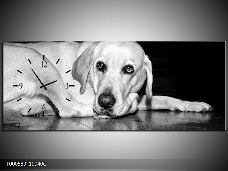 Klok schilderij Hond | Wit, Grijs, Zwart | 100x40cm 1Luik