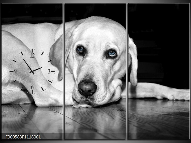 Klok schilderij Hond | Wit, Grijs, Zwart | 111x80cm 3Luik