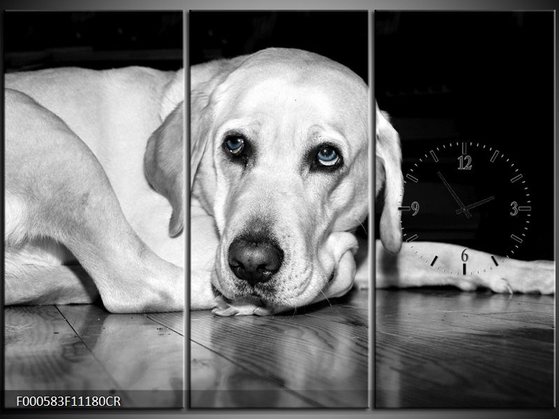 Klok schilderij Hond | Wit, Grijs, Zwart | 111x80cm 3Luik