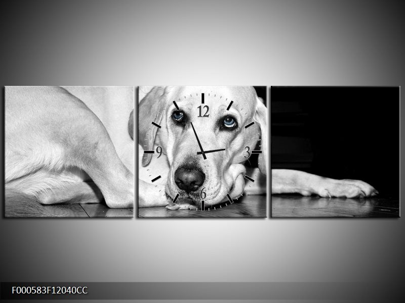Klok schilderij Hond | Wit, Grijs, Zwart | 120x40cm 3Luik