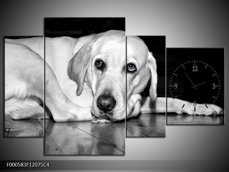 Klok schilderij Hond | Wit, Grijs, Zwart | 120x75cm 4Luik