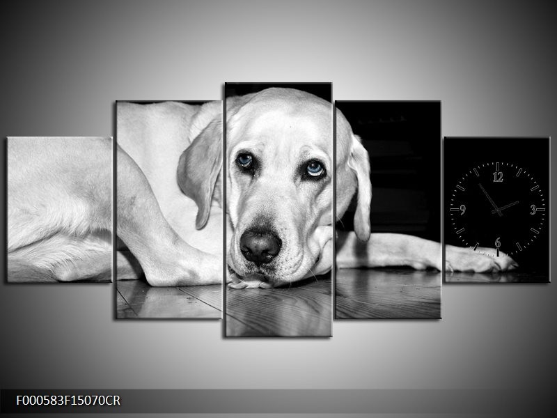 Klok schilderij Hond | Wit, Grijs, Zwart | 150x70cm 5Luik