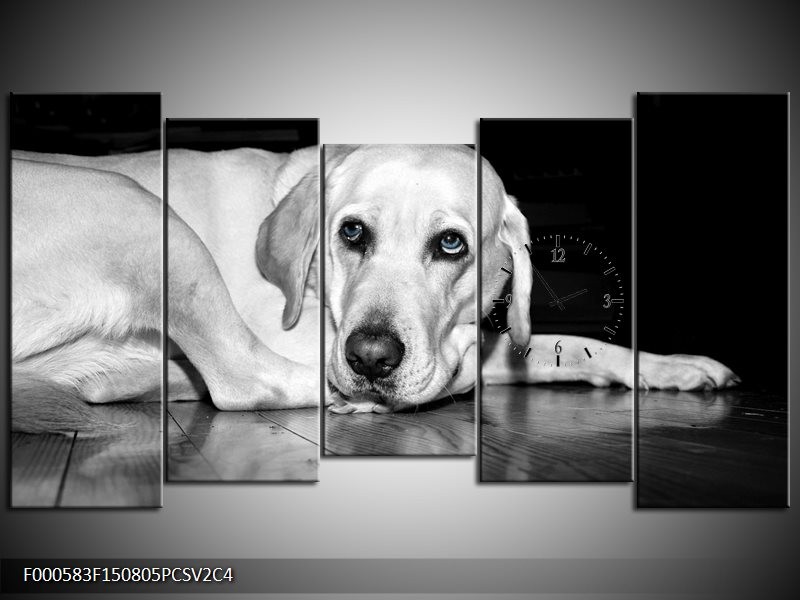 Klok schilderij Hond | Wit, Grijs, Zwart | 150x80cm 5Luik