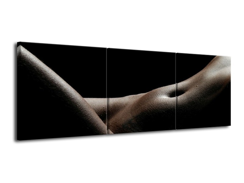 Canvas schilderij Lichaam | Zwart, Wit, Bruin | 120x40cm 3Luik