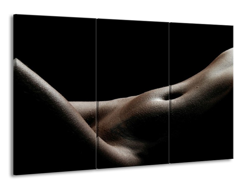 Canvas schilderij Lichaam | Zwart, Wit, Bruin | 165x100cm 3Luik