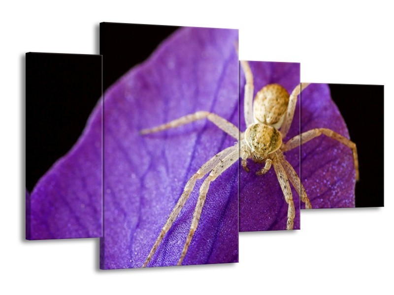 Canvas schilderij Spin | Paars, Zwart, Geel | 120x75cm 4Luik