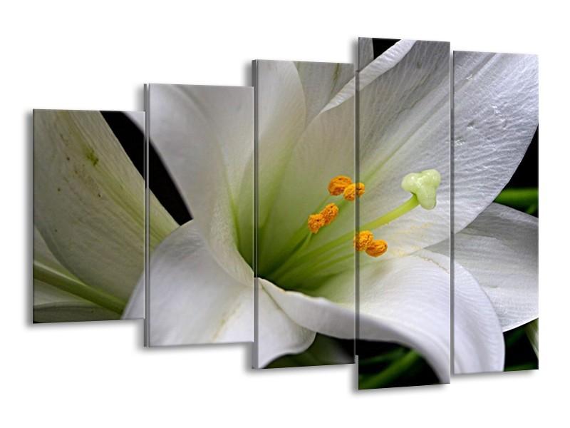 Canvas schilderij Bloem | Wit, Oranje, Zwart | 150x100cm 5Luik