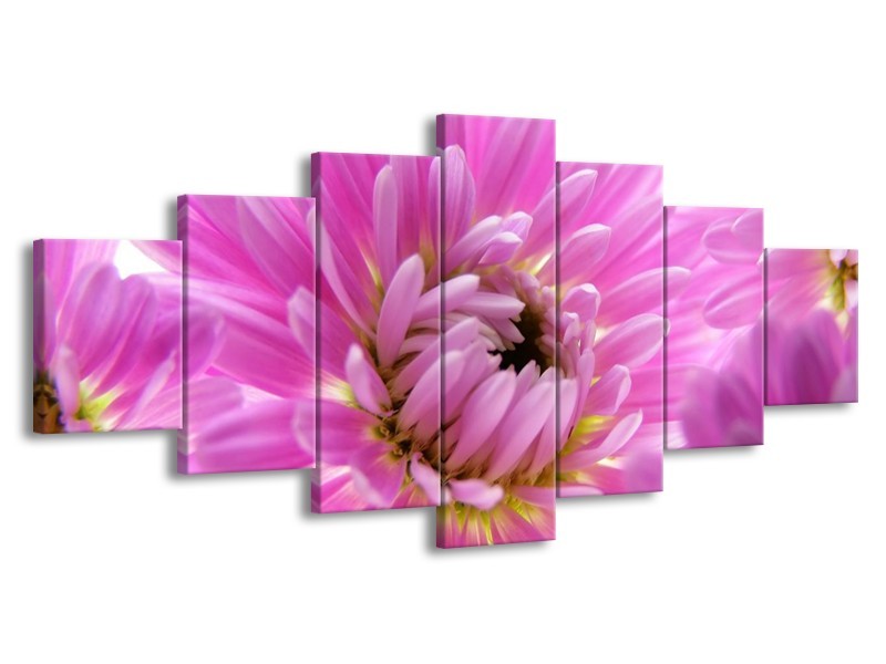 Canvas schilderij Bloem | Paars, Wit | 210x100cm 7Luik