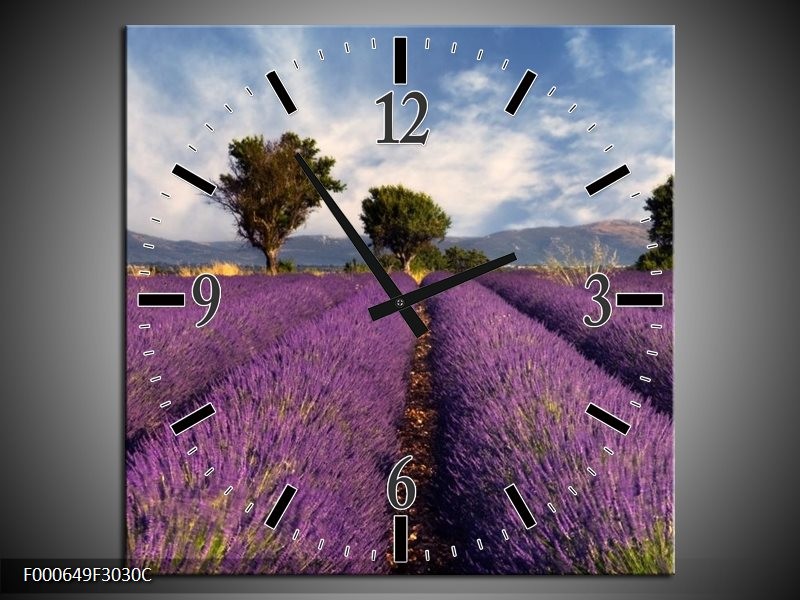 Klok schilderij Lavendel | Paars, Blauw, Wit | 30x30cm 1Luik