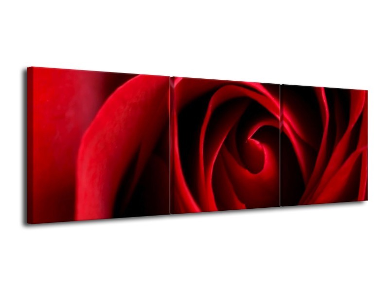 Canvas schilderij Roos | Rood, Zwart | 120x40cm 3Luik