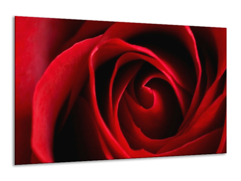 Canvas schilderij Roos | Rood, Zwart | 120x70cm 1Luik