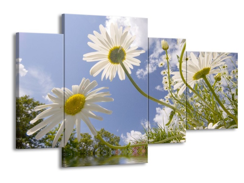 Canvas schilderij Natuur | Blauw, Wit, Groen | 120x75cm 4Luik