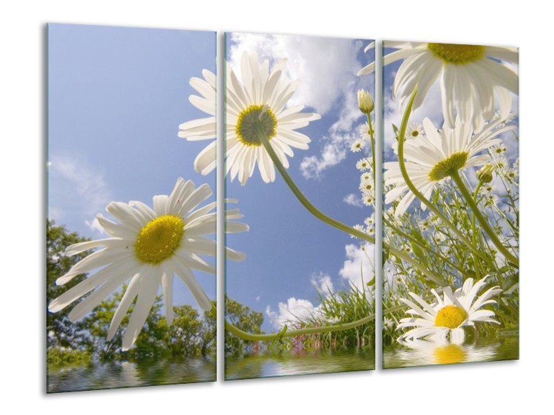 Canvas schilderij Natuur | Blauw, Wit, Groen | 120x80cm 3Luik