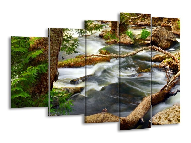 Canvas schilderij Natuur | Grijs, Bruin, Groen | 150x100cm 5Luik