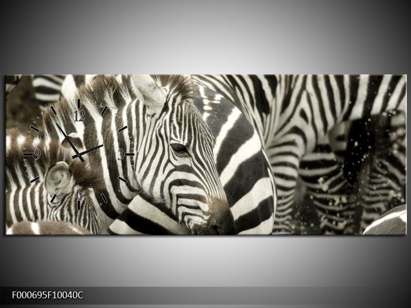 Klok schilderij Zebra | Zwart, Wit, Grijs | 100x40cm 1Luik