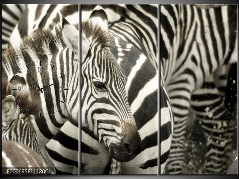 Klok schilderij Zebra | Zwart, Wit, Grijs | 111x80cm 3Luik