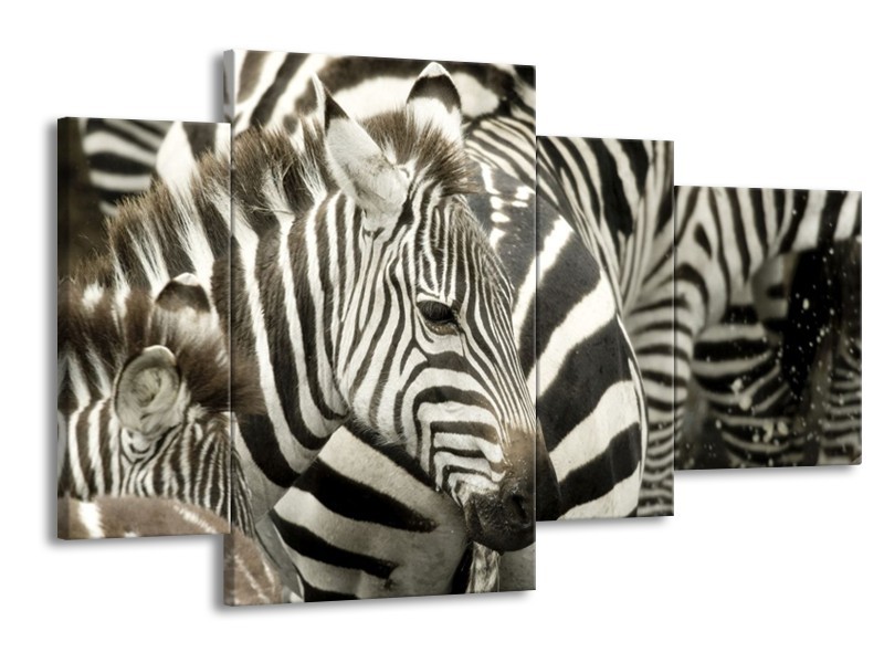 Canvas schilderij Zebra | Zwart, Wit, Grijs | 120x75cm 4Luik