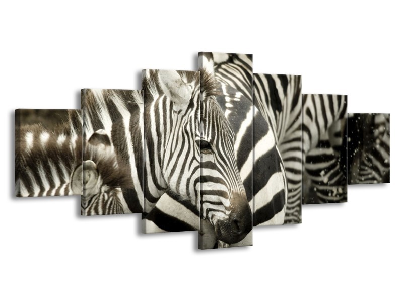 Glas schilderij Zebra | Zwart, Wit, Grijs | 210x100cm 7Luik