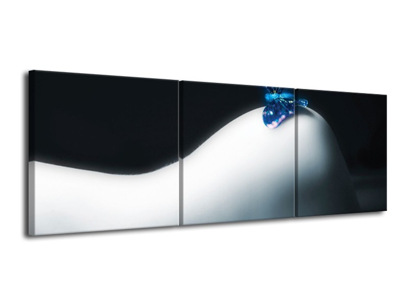 Canvas schilderij Vlinder | Blauw, Wit, Zwart | 120x40cm 3Luik