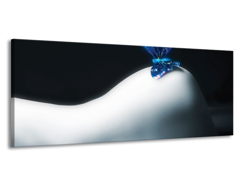Canvas schilderij Vlinder | Blauw, Wit, Zwart | 145x58cm 1Luik