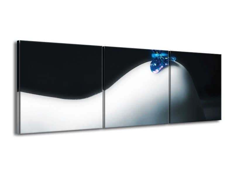 Glas schilderij Vlinder | Blauw, Wit, Zwart | 150x50cm 3Luik