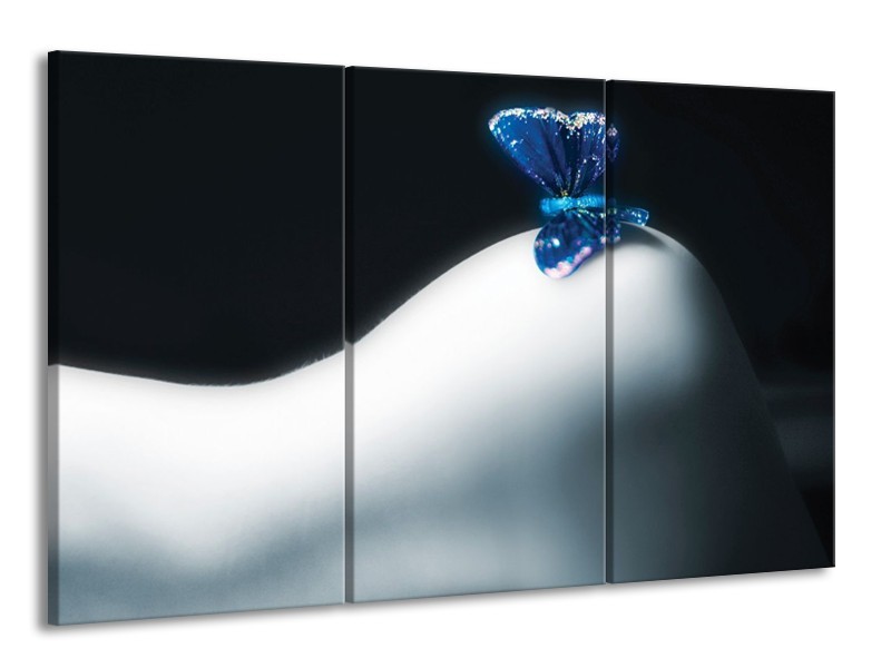 Glas schilderij Vlinder | Blauw, Wit, Zwart | 165x100cm 3Luik