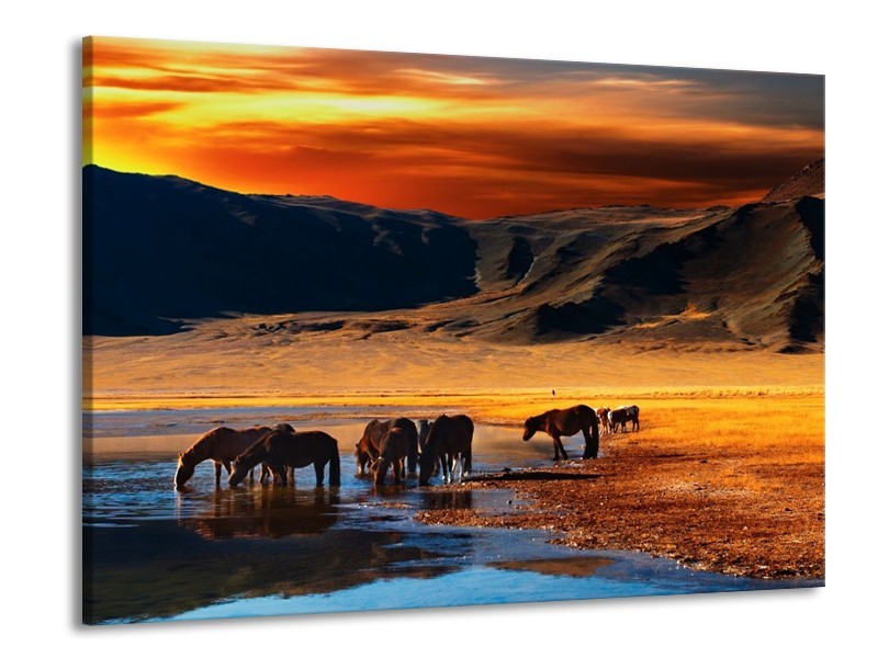 Canvas schilderij Paarden | Oranje, Rood, Blauw | 100x70cm 1Luik