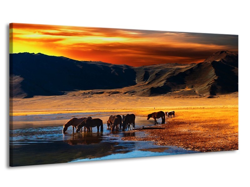 Canvas schilderij Paarden | Oranje, Rood, Blauw | 170x90cm 1Luik