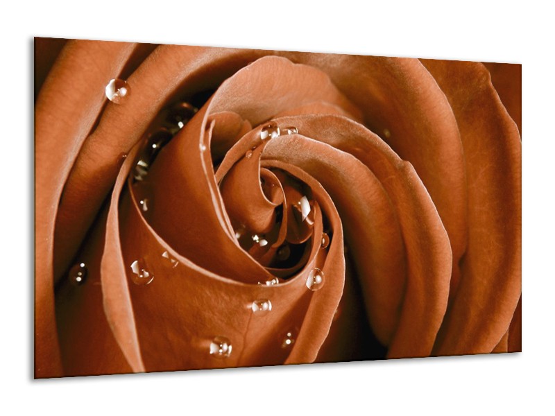 Canvas schilderij Roos | Bruin, Wit | 120x70cm 1Luik