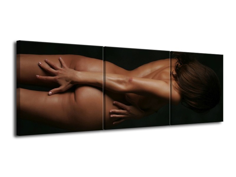 Canvas schilderij Vrouw | Bruin, Zwart | 120x40cm 3Luik