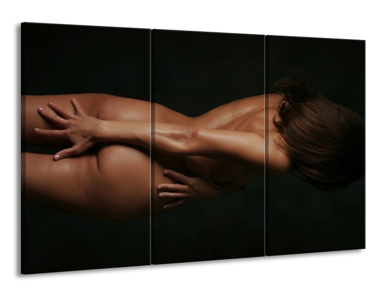 Canvas schilderij Vrouw | Bruin, Zwart | 165x100cm 3Luik