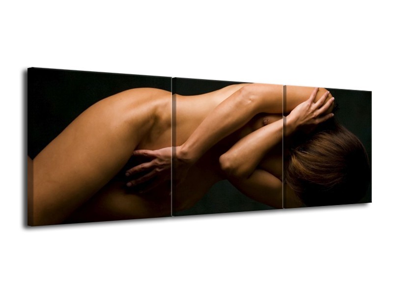Canvas schilderij Vrouw | Bruin, Zwart | 120x40cm 3Luik