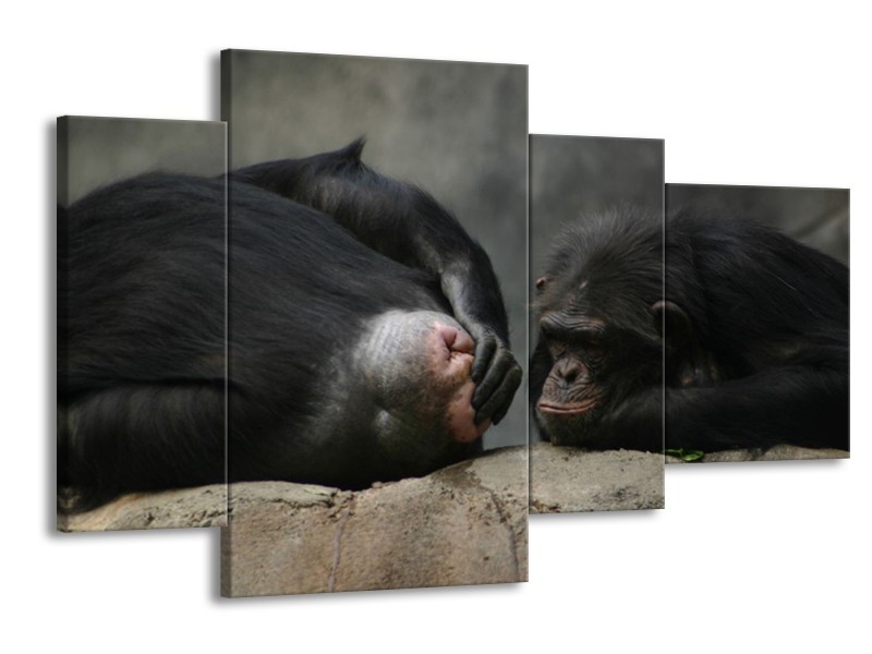 Canvas schilderij Apen | Zwart, Grijs | 120x75cm 4Luik