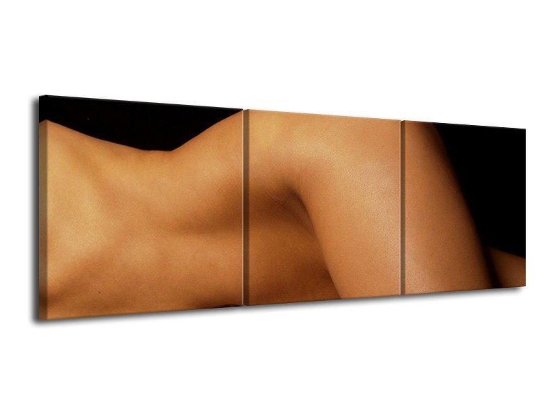 Canvas schilderij Lichaam | Zwart, Bruin | 120x40cm 3Luik