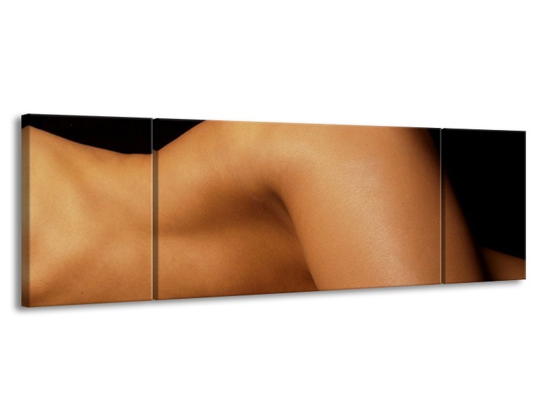 Canvas schilderij Lichaam | Zwart, Bruin | 170x50cm 3Luik