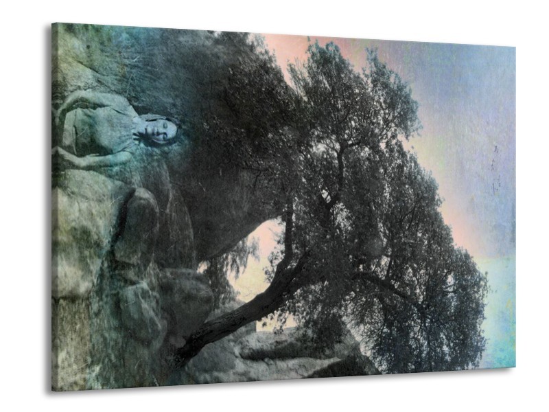 Canvas schilderij Natuur | Grijs, Blauw, Groen | 100x70cm 1Luik