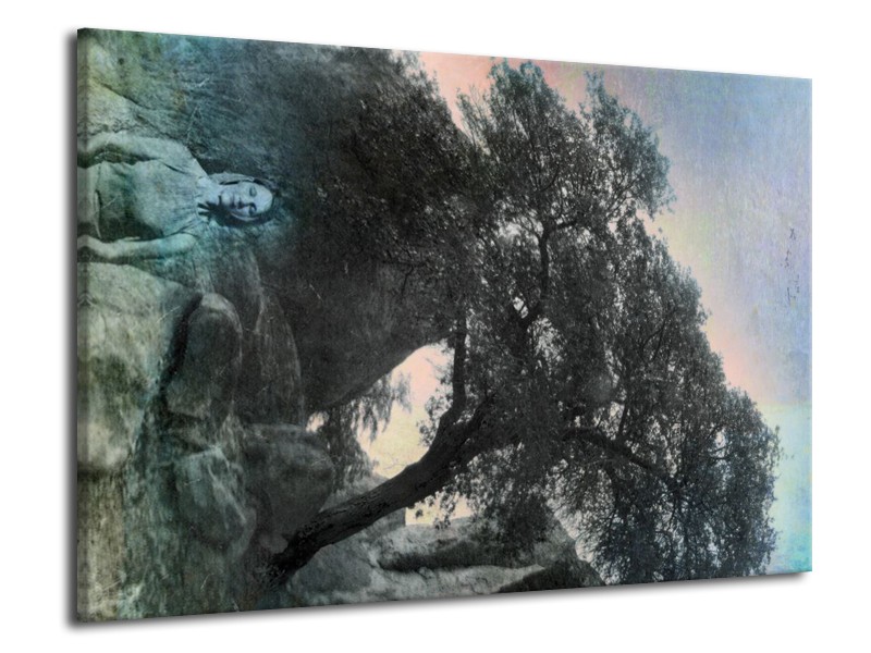 Canvas schilderij Natuur | Grijs, Blauw, Groen | 70x50cm 1Luik